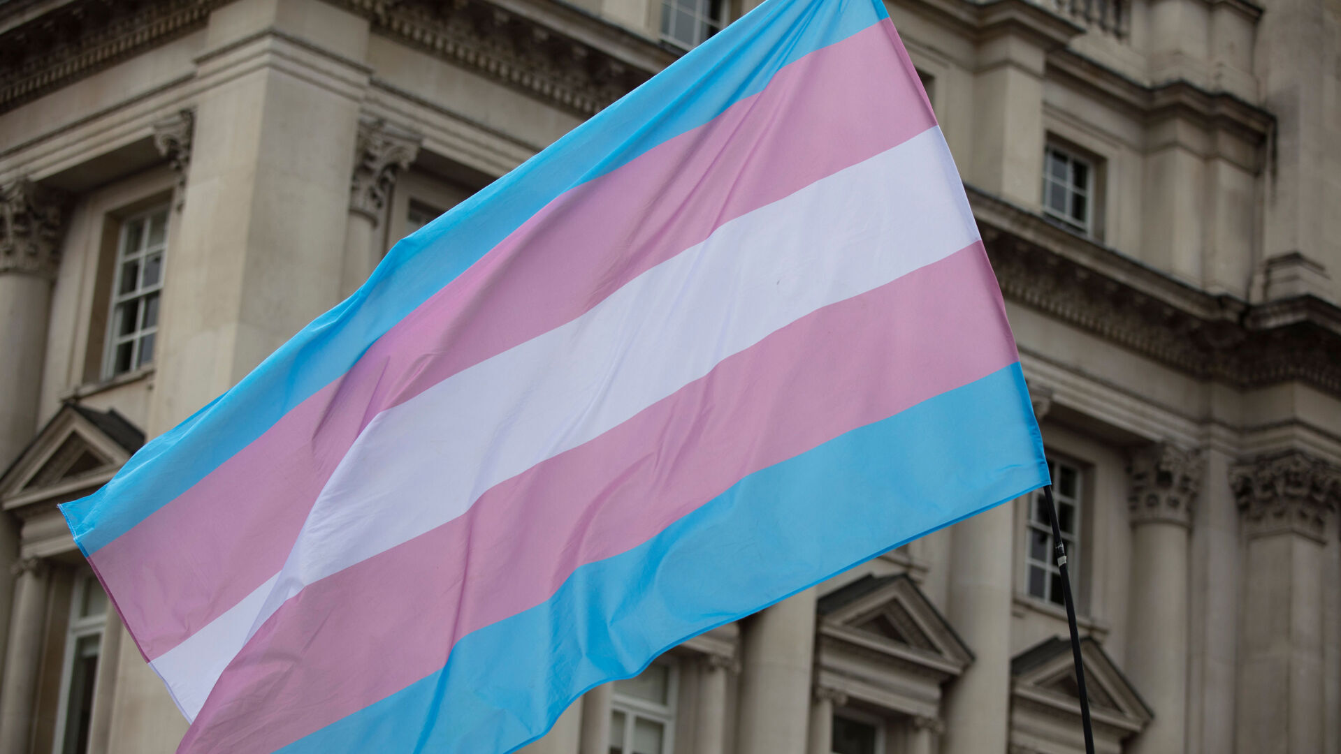 Transgender flag